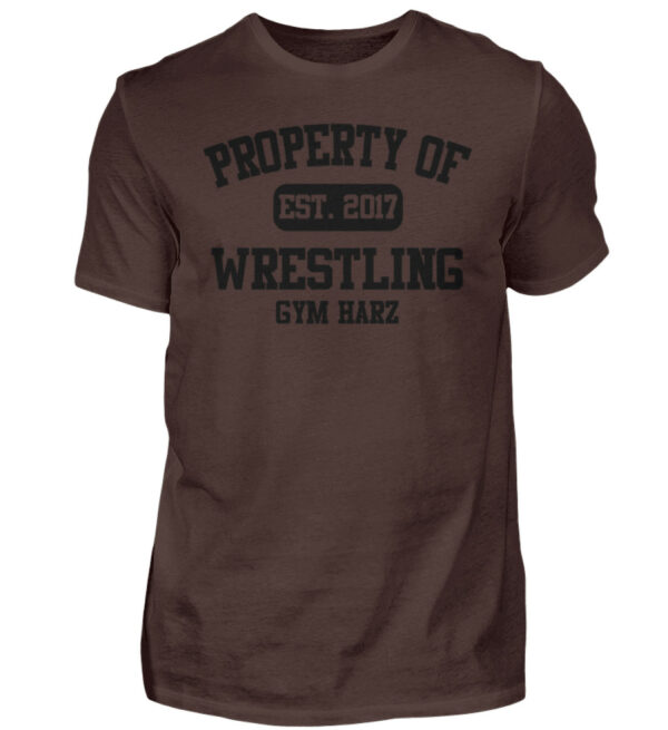 Property Wrestling Gym Harz - Herren Shirt-1074