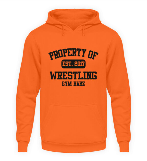 Property Wrestling Gym Hoodie - Unisex Kapuzenpullover Hoodie-1692