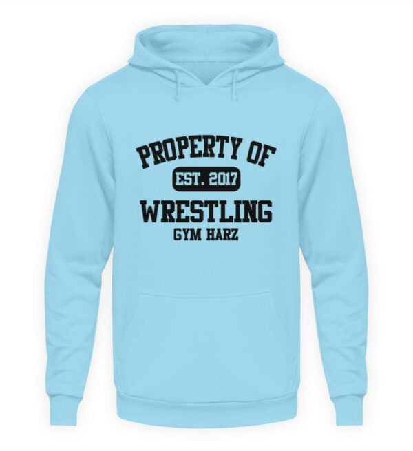 Property Wrestling Gym Hoodie - Unisex Kapuzenpullover Hoodie-674