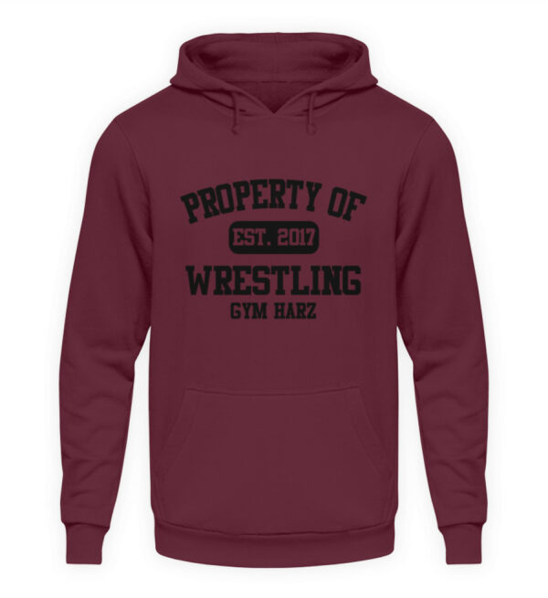 Property Wrestling Gym Hoodie - Unisex Kapuzenpullover Hoodie-839