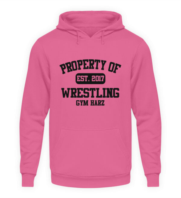 Property Wrestling Gym Hoodie - Unisex Kapuzenpullover Hoodie-1521