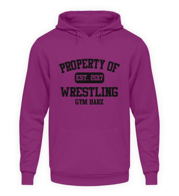 Property Wrestling Gym Hoodie - Unisex Kapuzenpullover Hoodie-1658