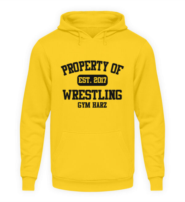 Property Wrestling Gym Hoodie - Unisex Kapuzenpullover Hoodie-1774