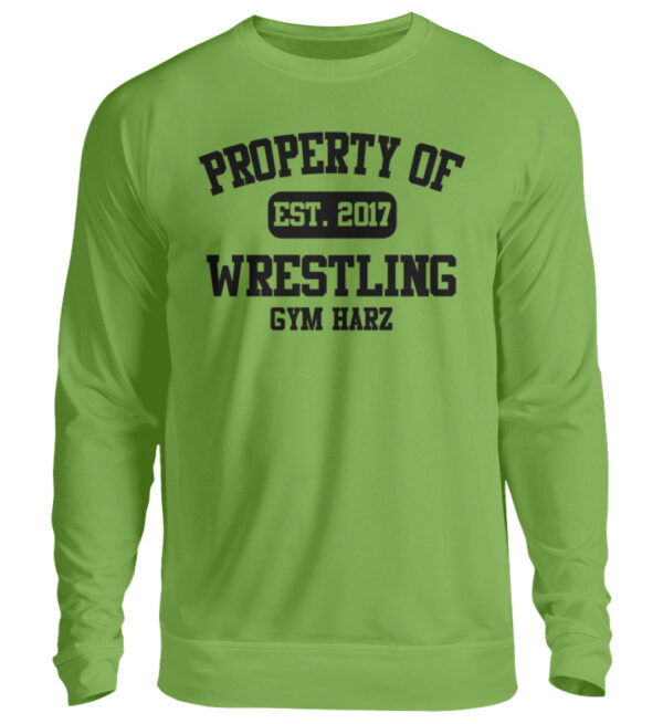 Property Wrestling Gym Harz Sweatshirt - Unisex Pullover-1646