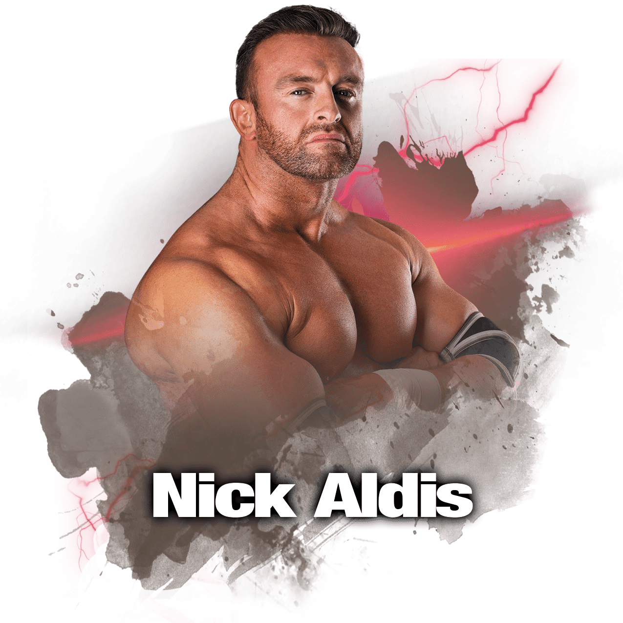 roster-aldis-unlimited-wrestling-pro-wrestling-schule